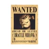 S7a591db545f34d1385fc022b5afcd11cO Poster de Recompensas One Piece