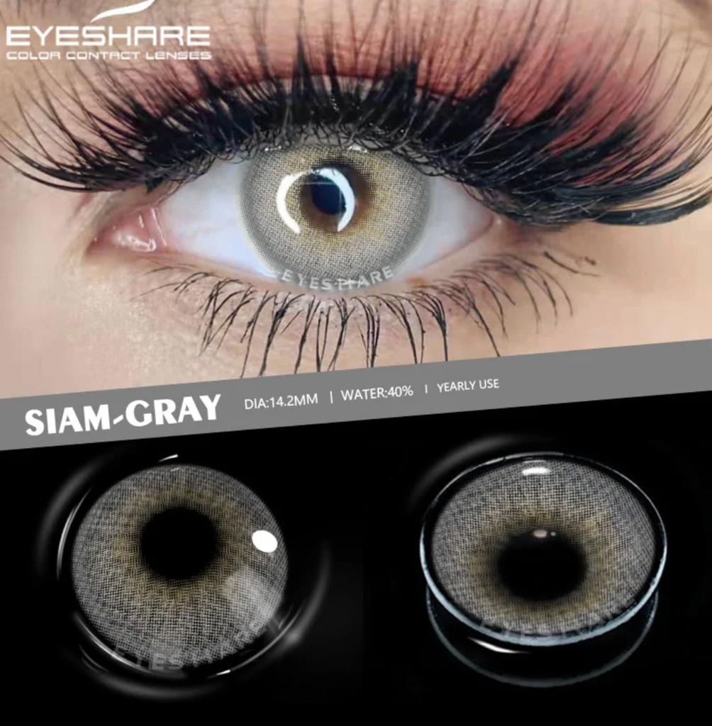 SIAM GRAY