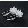 Aretes Largos Plata 925