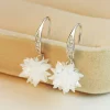 Aretes Largos Plata 925