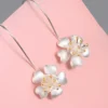 Aretes Largos Plata 925